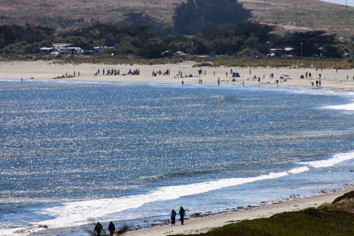 Doran Beach is a 1.4 mile drive from Bodega Retreat