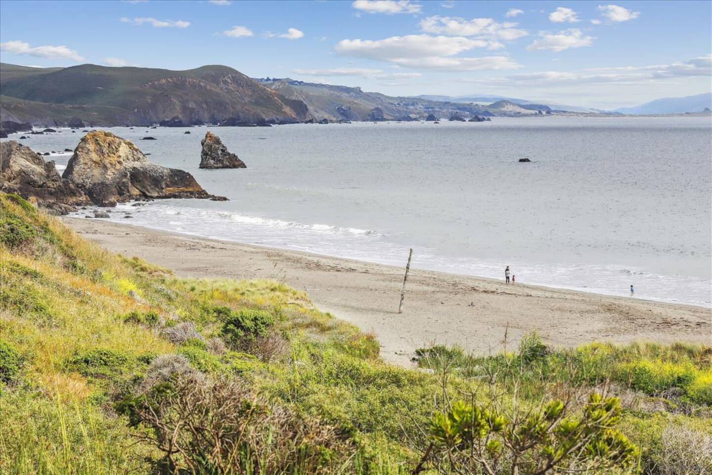The beach behind the Bodega Harbour Clubhouse