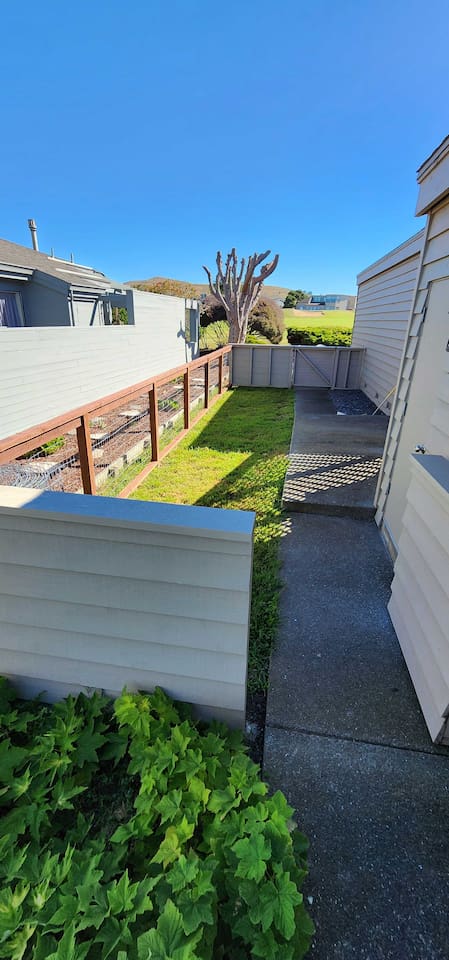 Large private fenced-in dog run in the side yard, accessed from the center courtyard of the home.