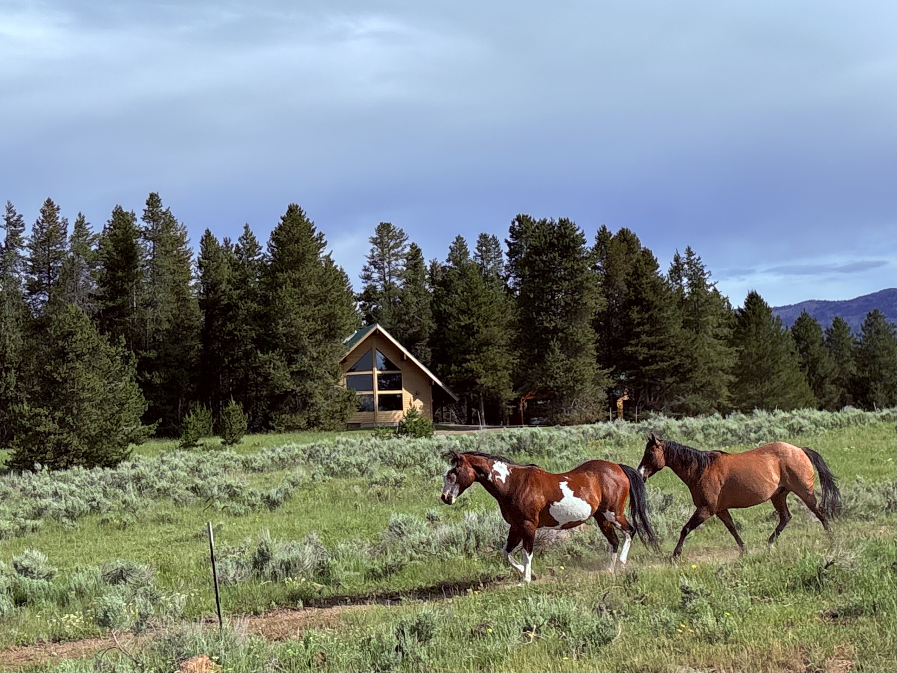 Peaceful Yellowstone Basecamp Hot Tub Pets welcome