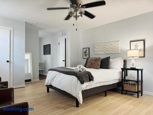 Central Studio | Haynie's Corner Arts District Apt