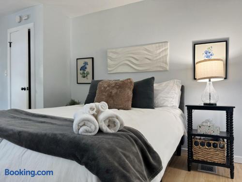 Central Studio | Haynie's Corner Arts District Apt