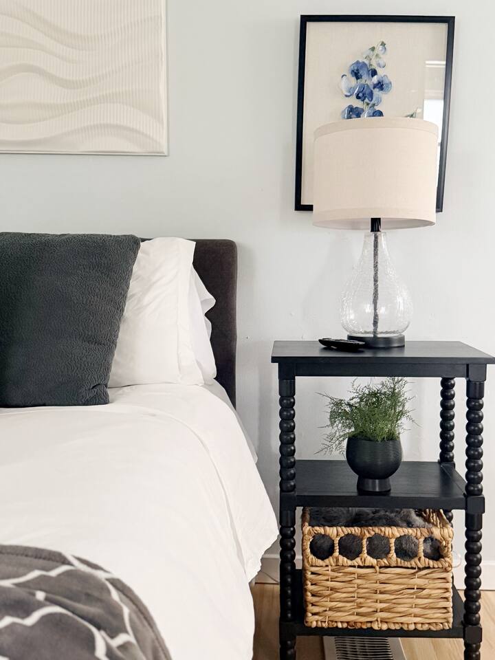 Central Studio | Haynie's Corner Arts District Apt