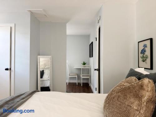 Central Studio | Haynie's Corner Arts District Apt