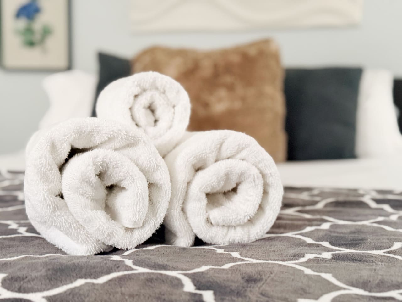 Central Studio | Haynie's Corner Arts District Apt