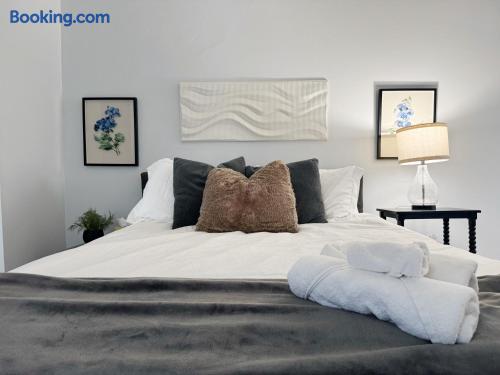 Central Studio | Haynie's Corner Arts District Apt