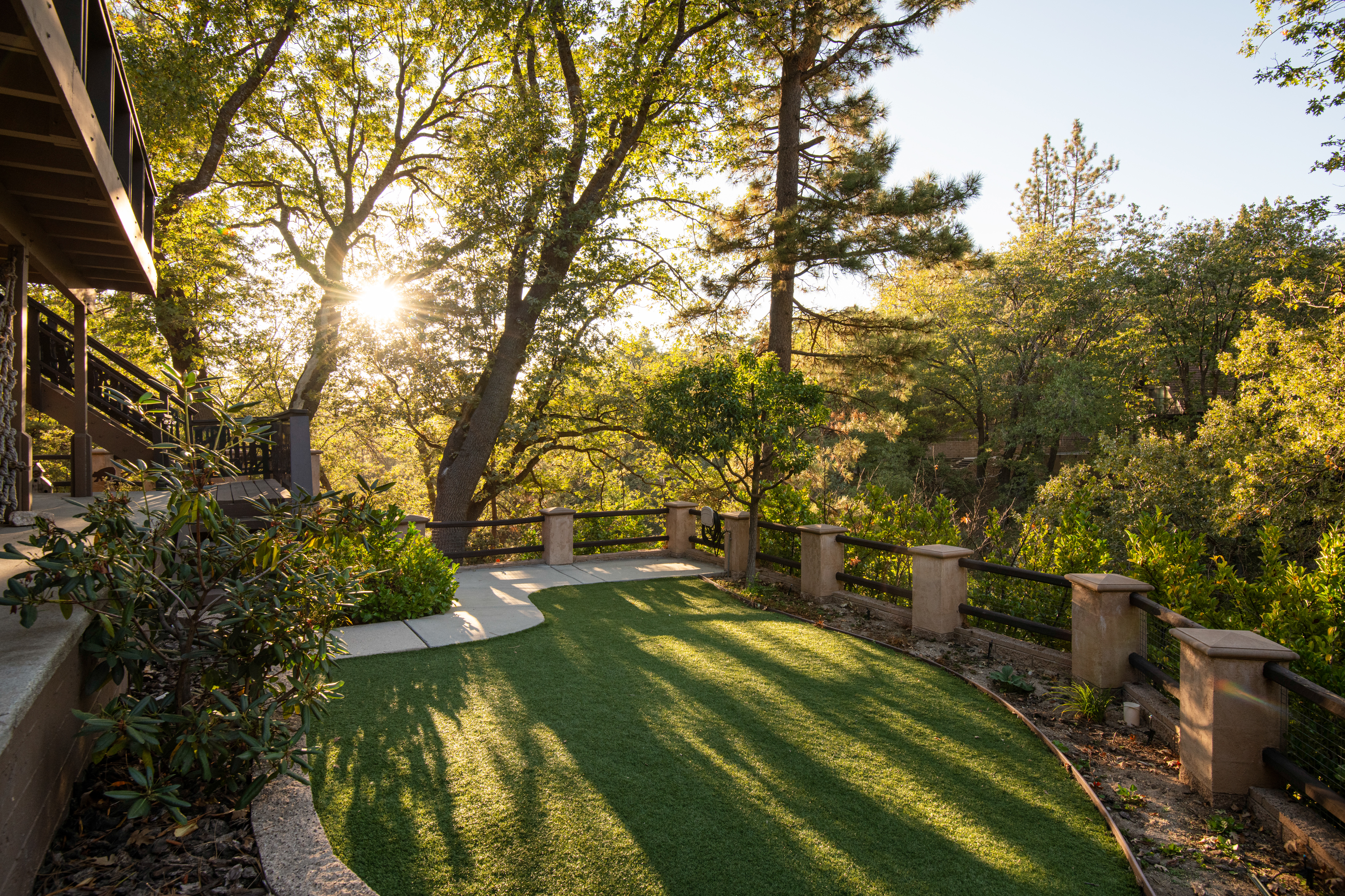 Sunny private yard with lush trees and a peaceful outdoor retreat