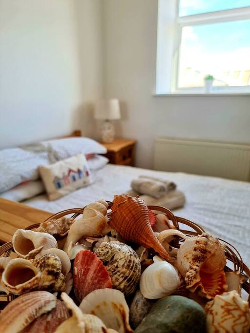 Wendon Holidays - Shells