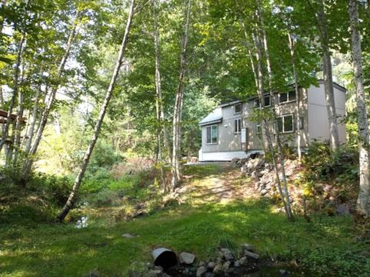 Mt Rainier Riverfront Tiny House in Packwood - EV