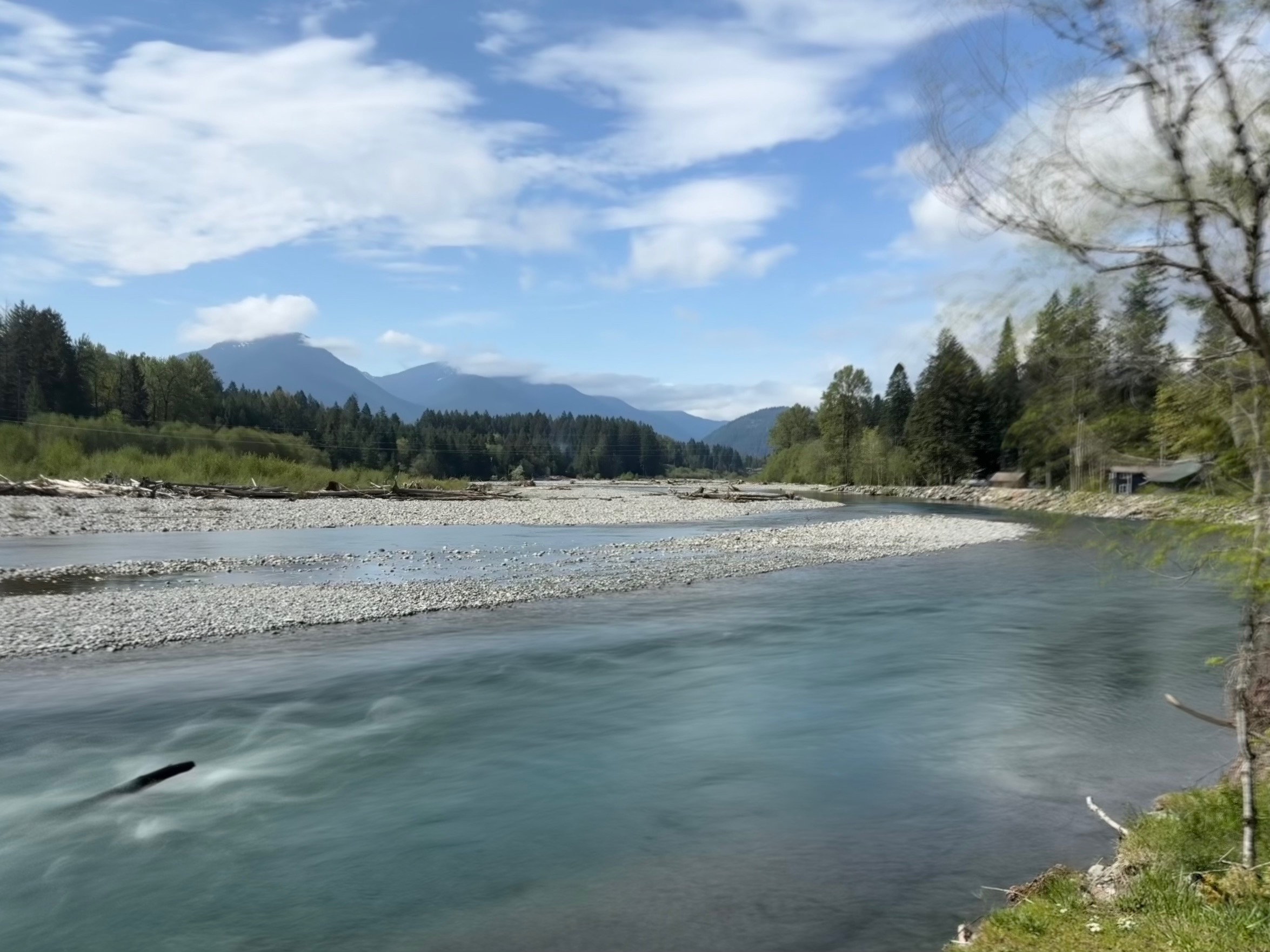 Packwood River Scenic View