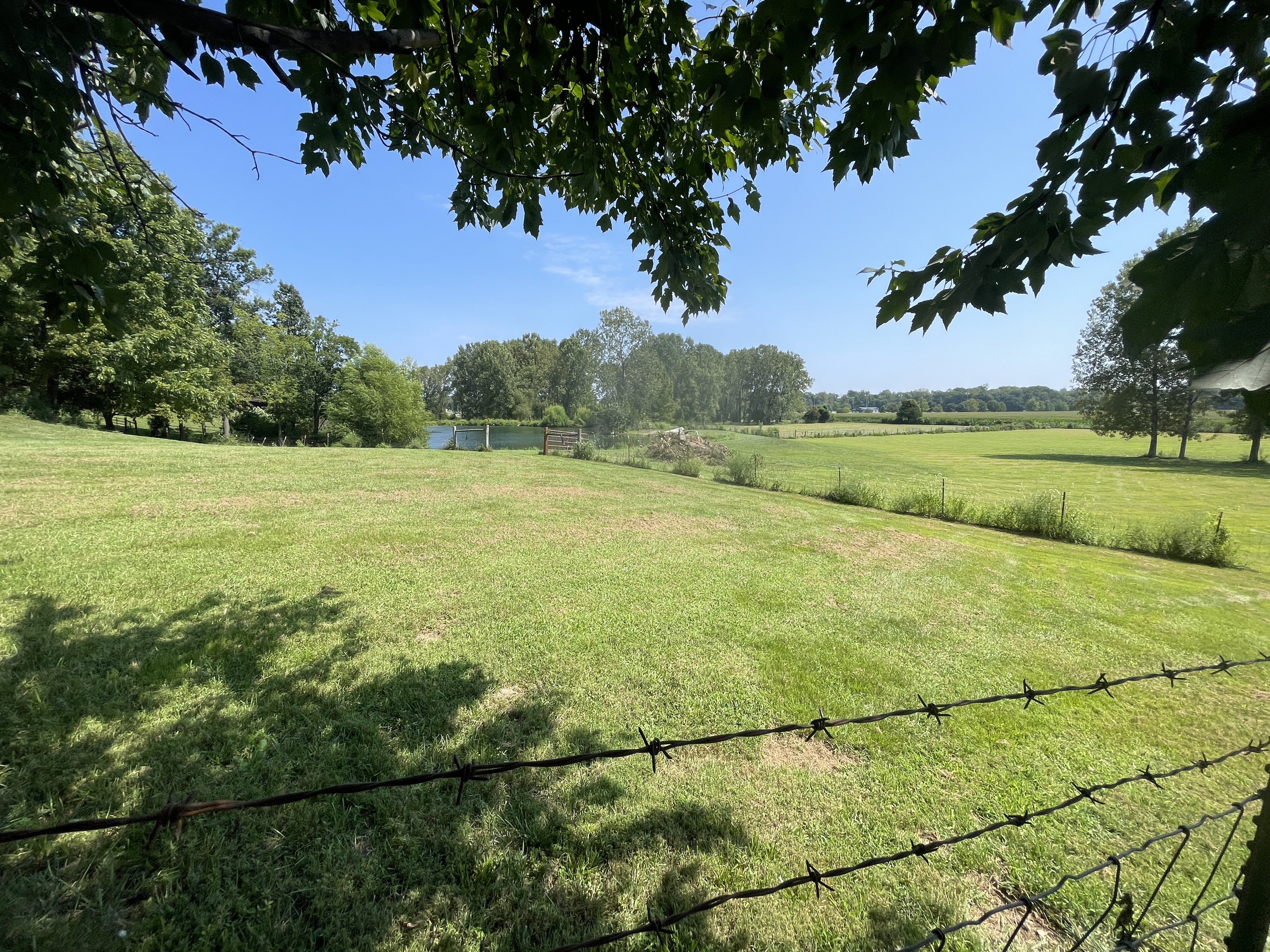 Expansive lawn with pond views and peaceful countryside scenery