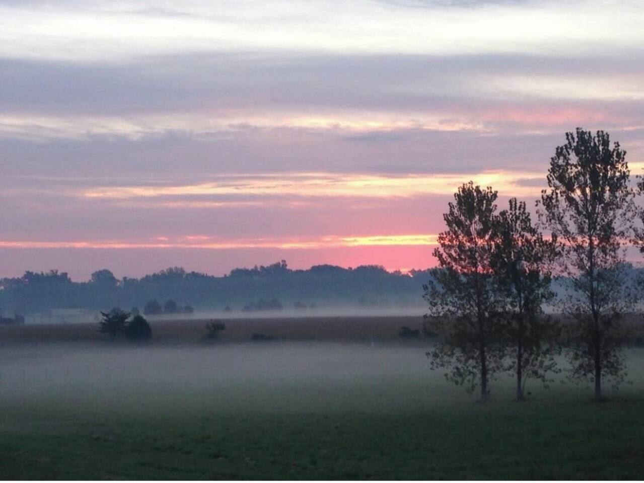 Watch the sunrise from the backyard