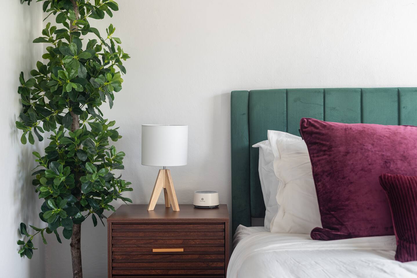 Spacious Flat, Steps to 23rd & TJ's + Parking