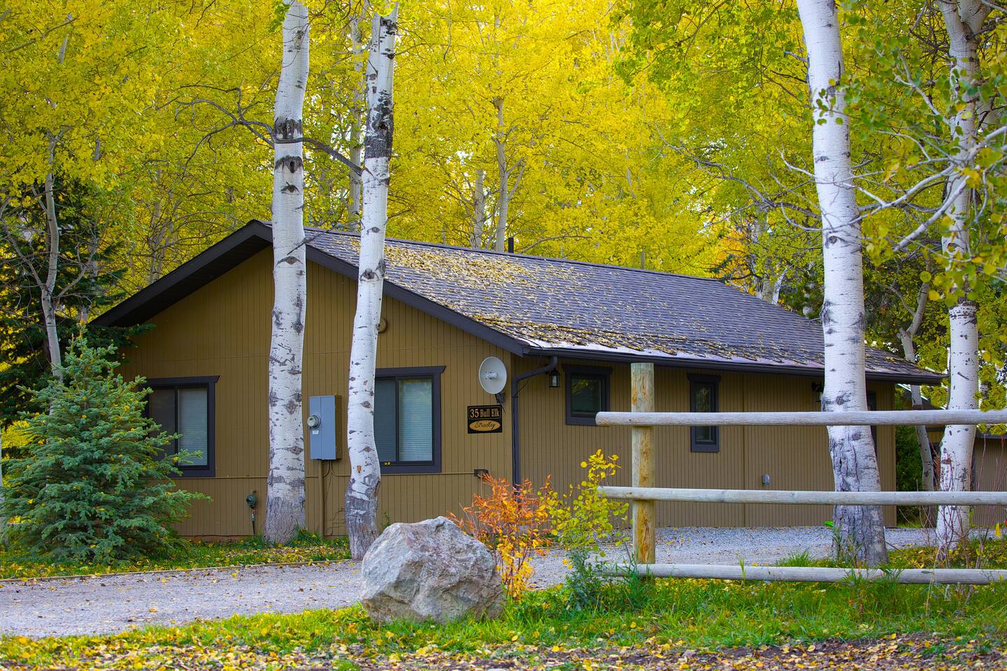 Yellowstone Aspen Cabin