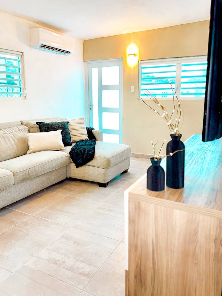 Cultural and Stylish apartment in Vega Baja, PR