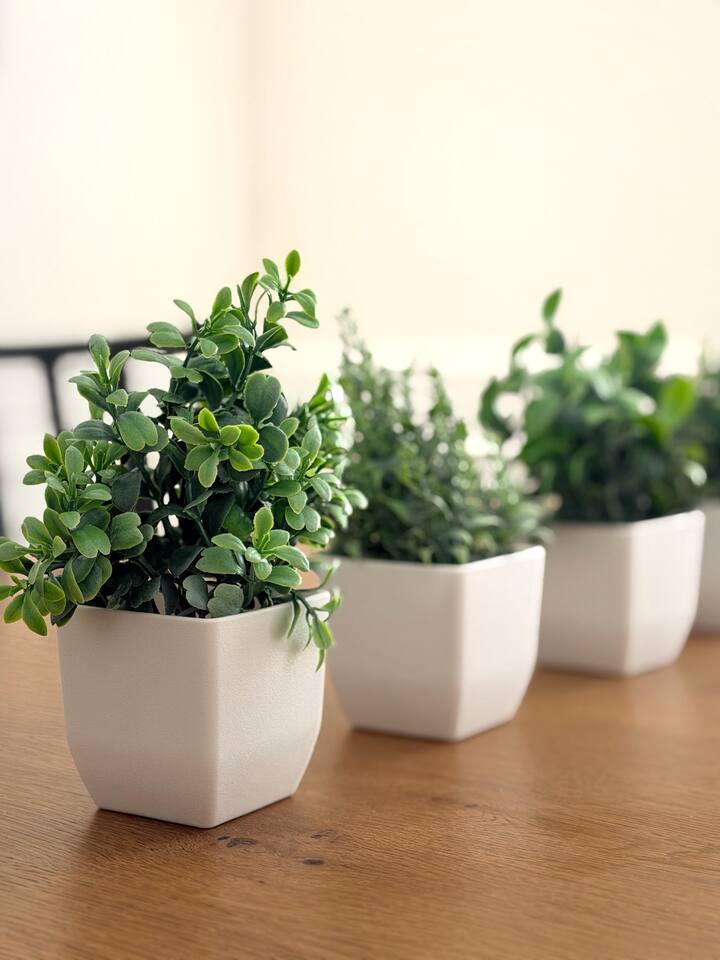 Shoreham Luxe | Vibrant 4BR\2.5BA with Waterfront