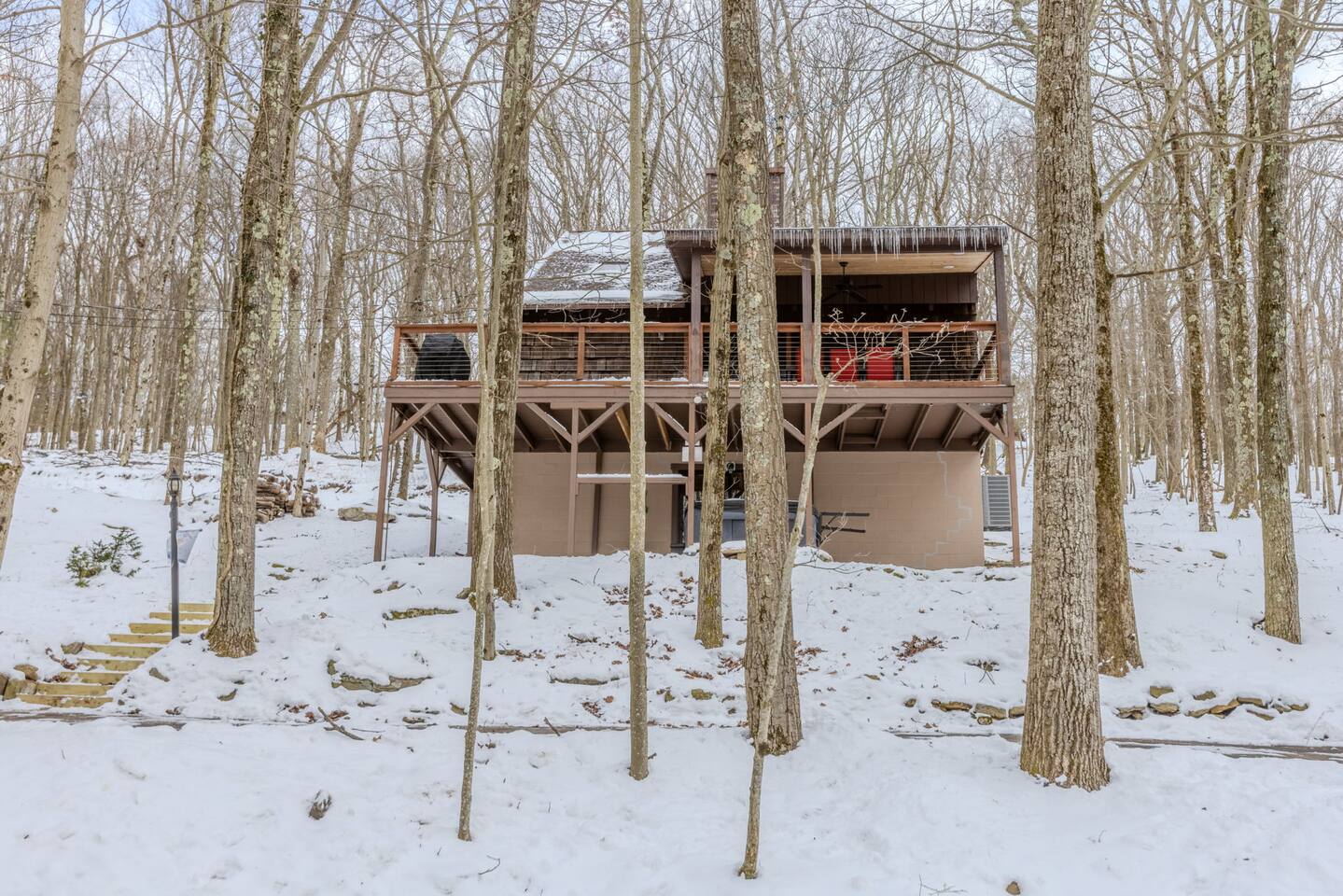 Enjoy wild & wonderful WV from this Alpine retreat