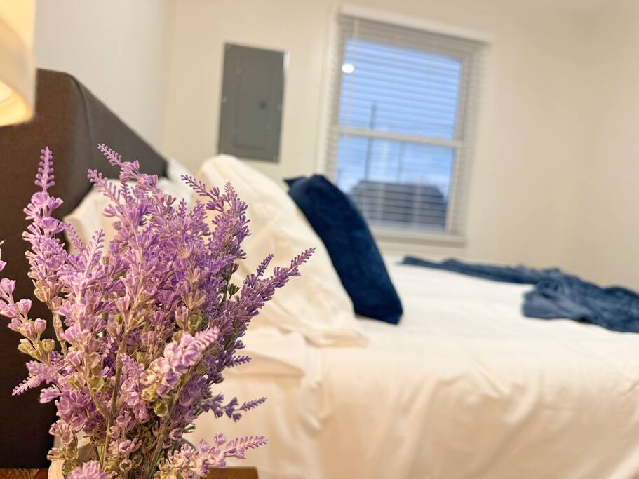 Henderson Homestead | 3BR/1BA Newly remodeled Apt