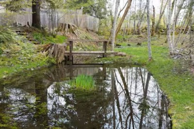 River Front Cabin Compound - Near MT Rainier! rental in Packwood