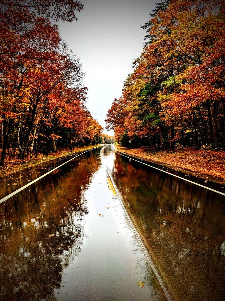 The Stargazer Dark Sky Preserve McGraw Beach Close