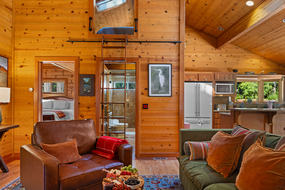 Warm wood cabin with loft, open kitchen, and cozy lounge