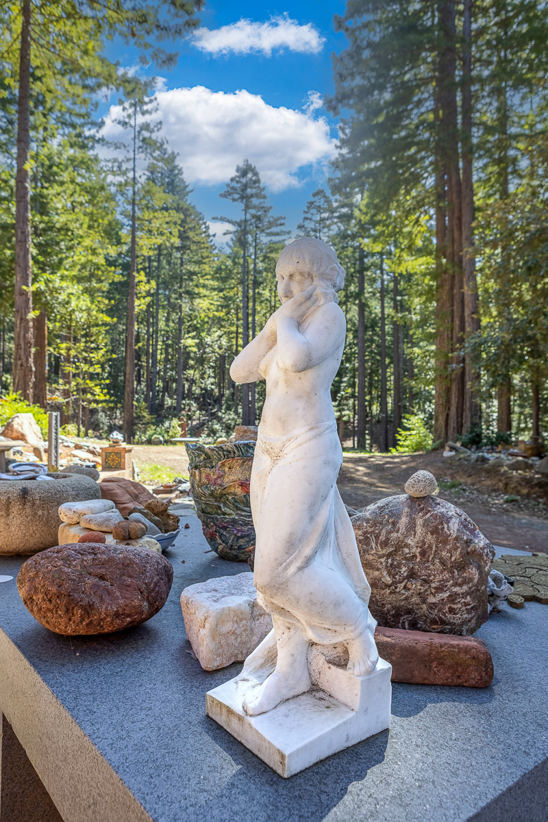 Sculpture garden amid towering redwoods—an artful, serene retreat.