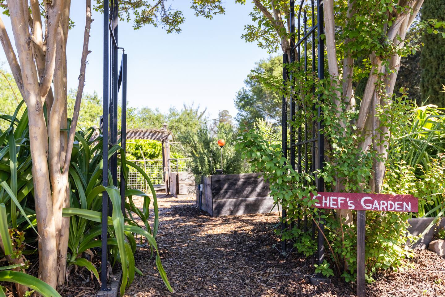Fresh ingredients, straight from the Chef’s Garden to your plate.