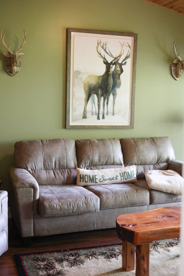 Ozark Mountain Lake Home