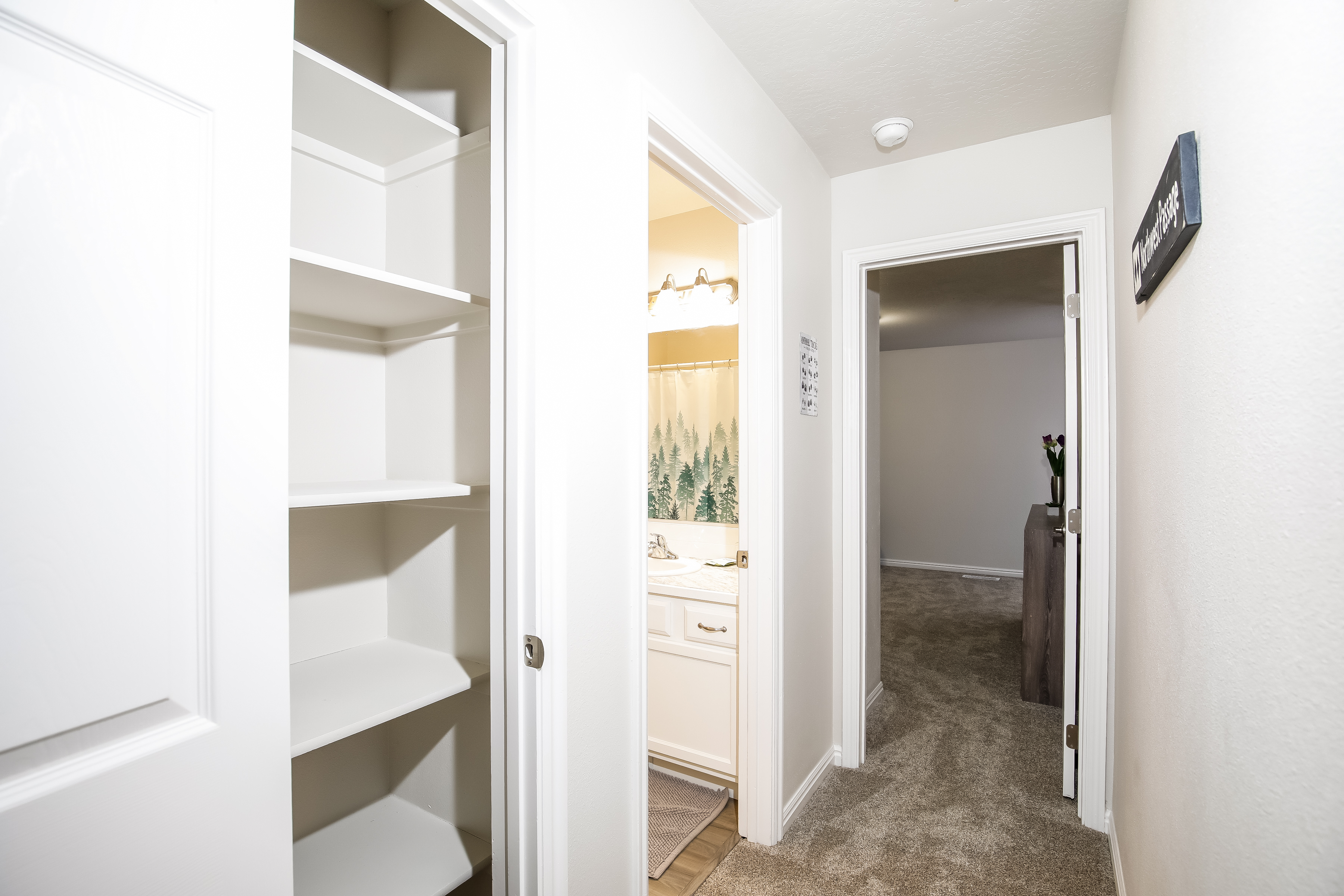 Bright hall with built-in linen closet, plush carpet, and nearby bath.