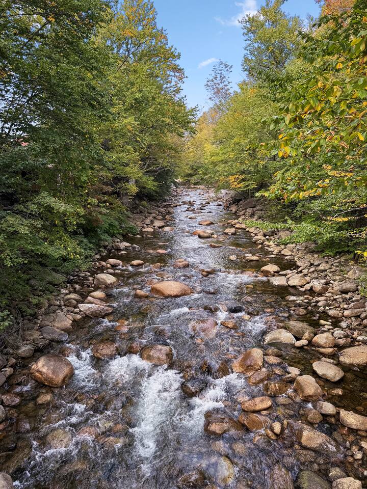 Property thumbnail 42