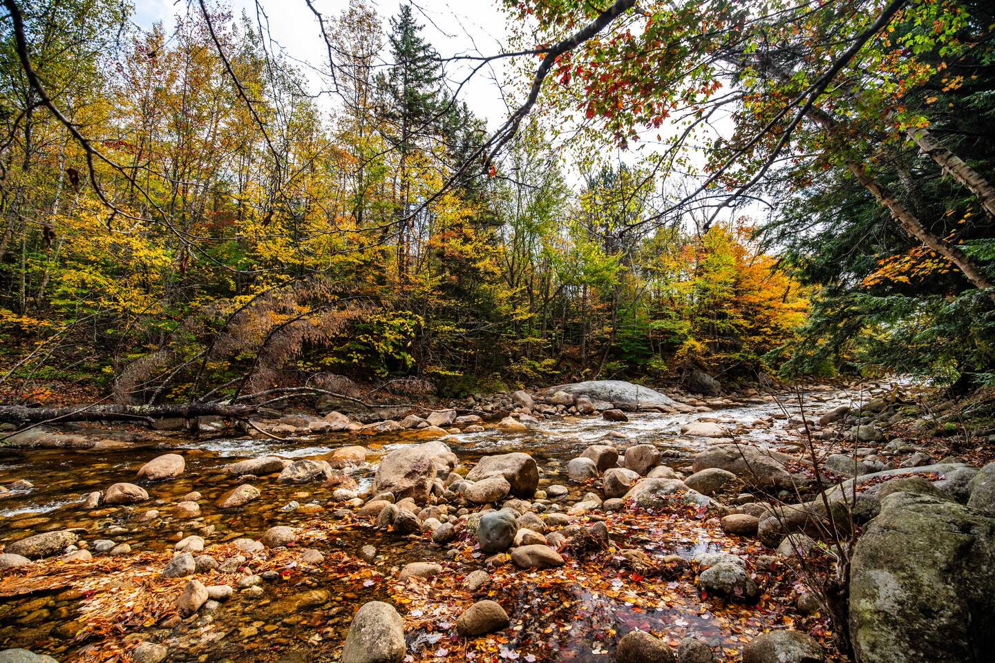 Property thumbnail 26