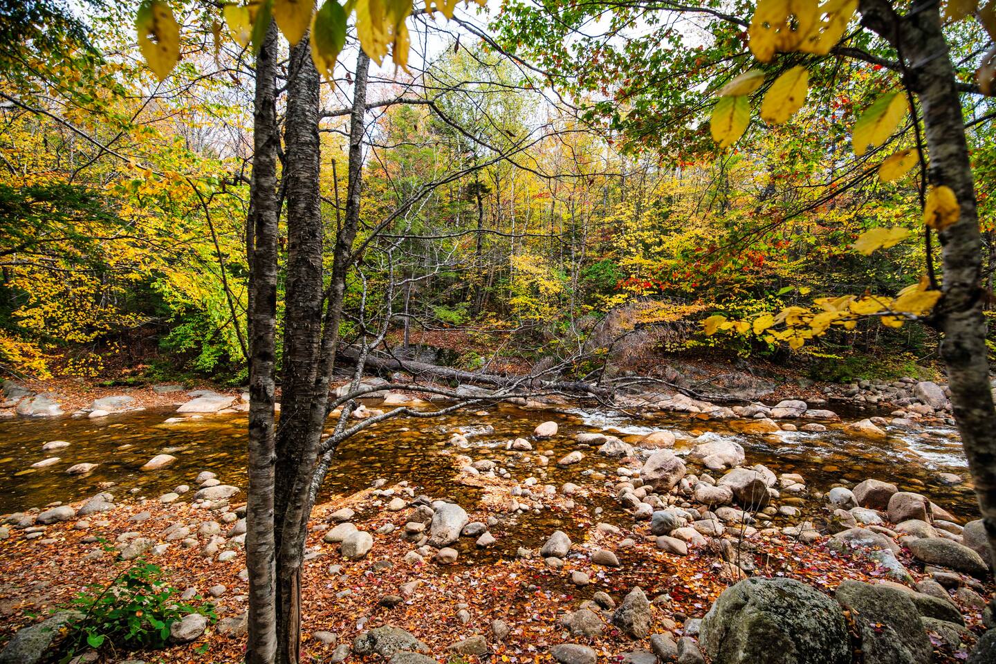 Property thumbnail 33