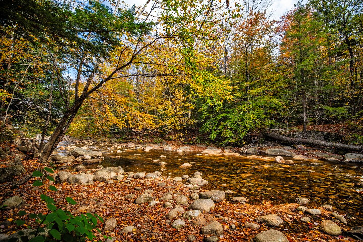 Property thumbnail 41