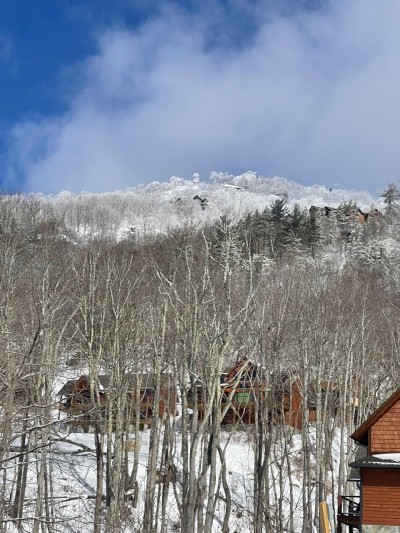 Eagles Nest Cabin w/ Hot Tub, Fireplace & Views! photo 10