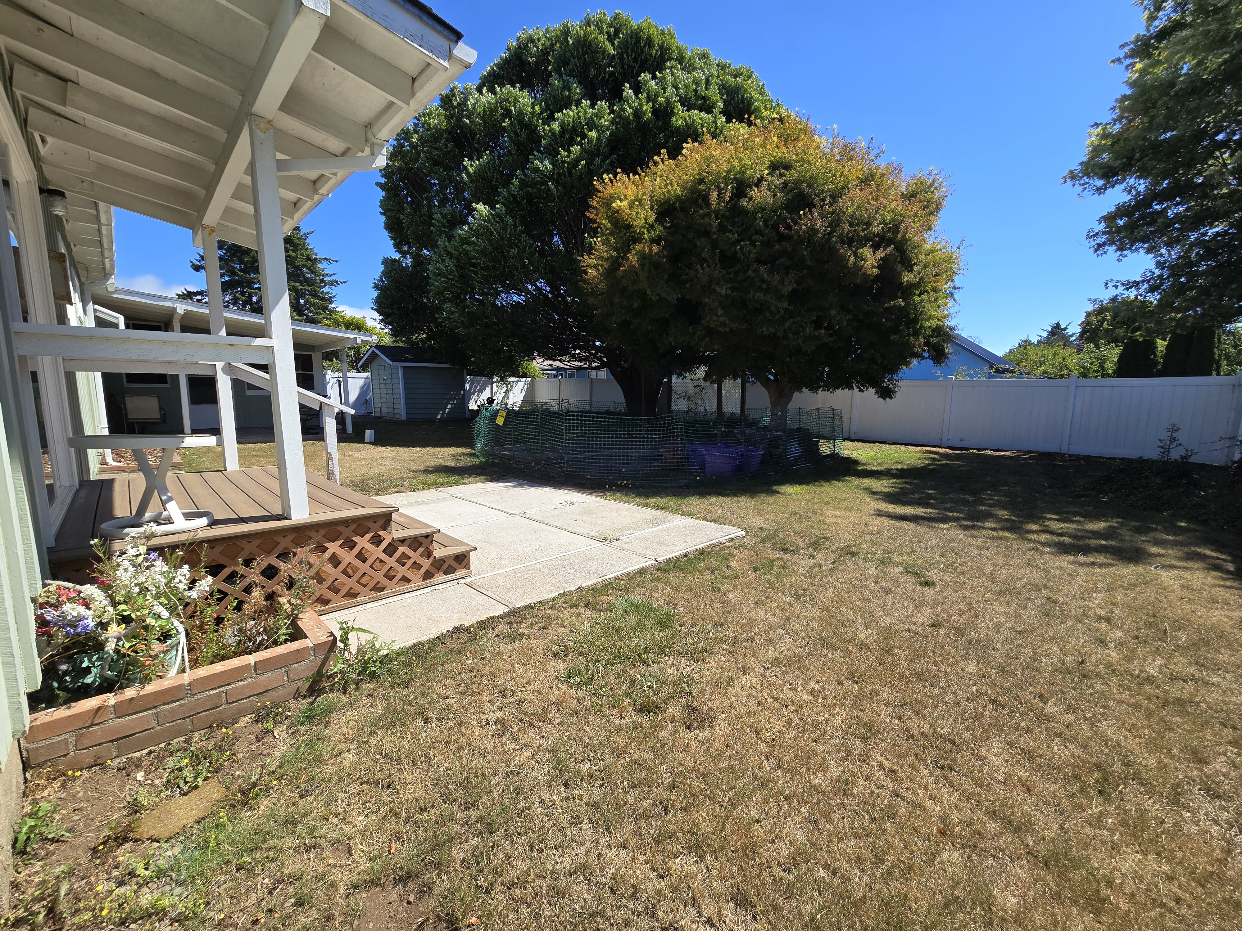 Spacious fenced backyard with covered porch, patio, and shady mature trees