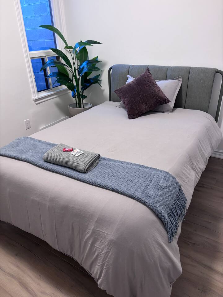 Modern Stay in Vibrant Kensington Market