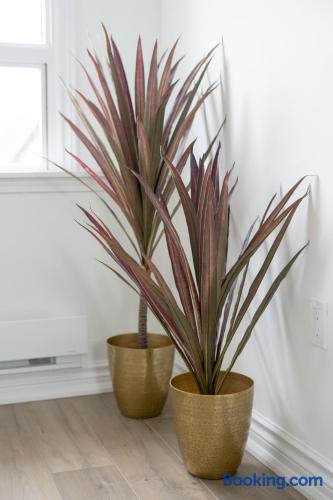 Bright corner styling with elegant potted plants and modern decor