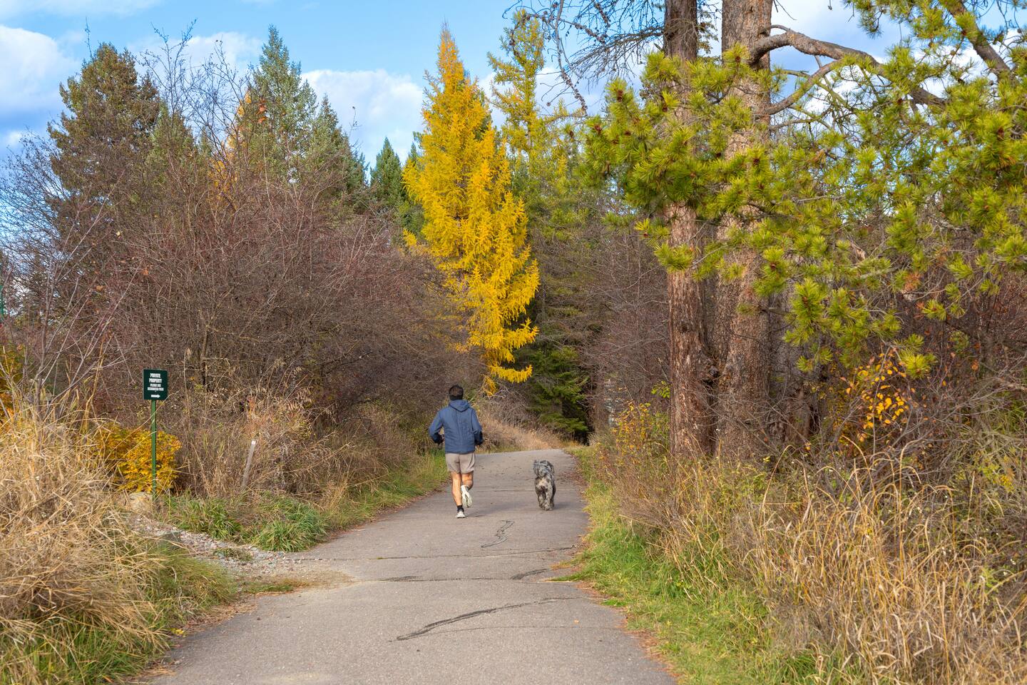 Property thumbnail 45