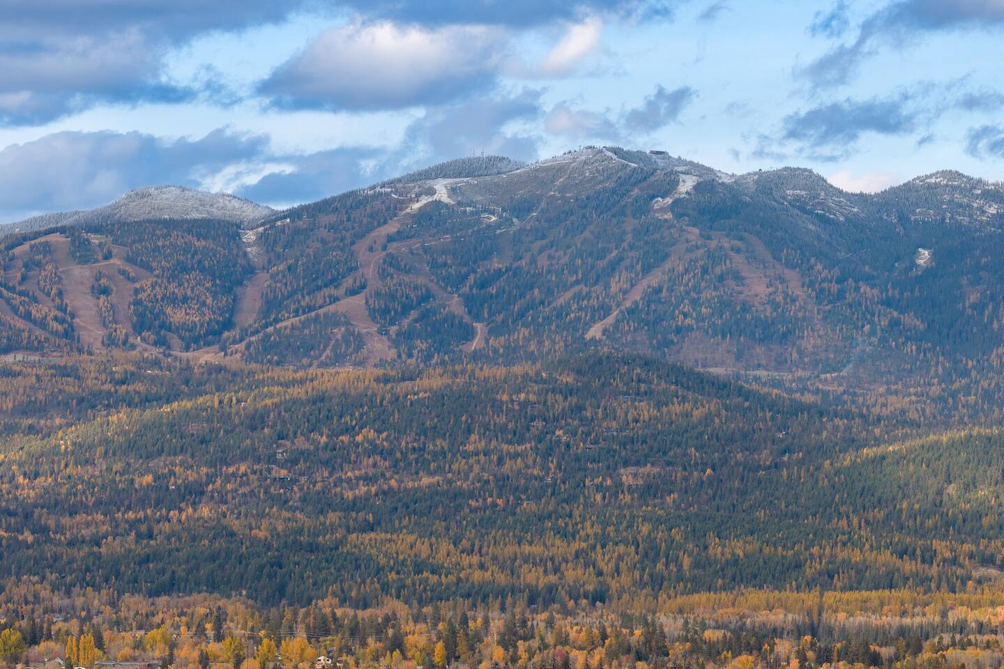 Property thumbnail 35