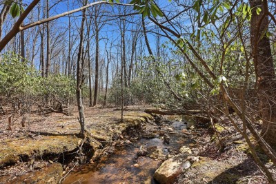 Serene 3BR Creek Cabin w/ Arcade Games & Firepit! photo 5