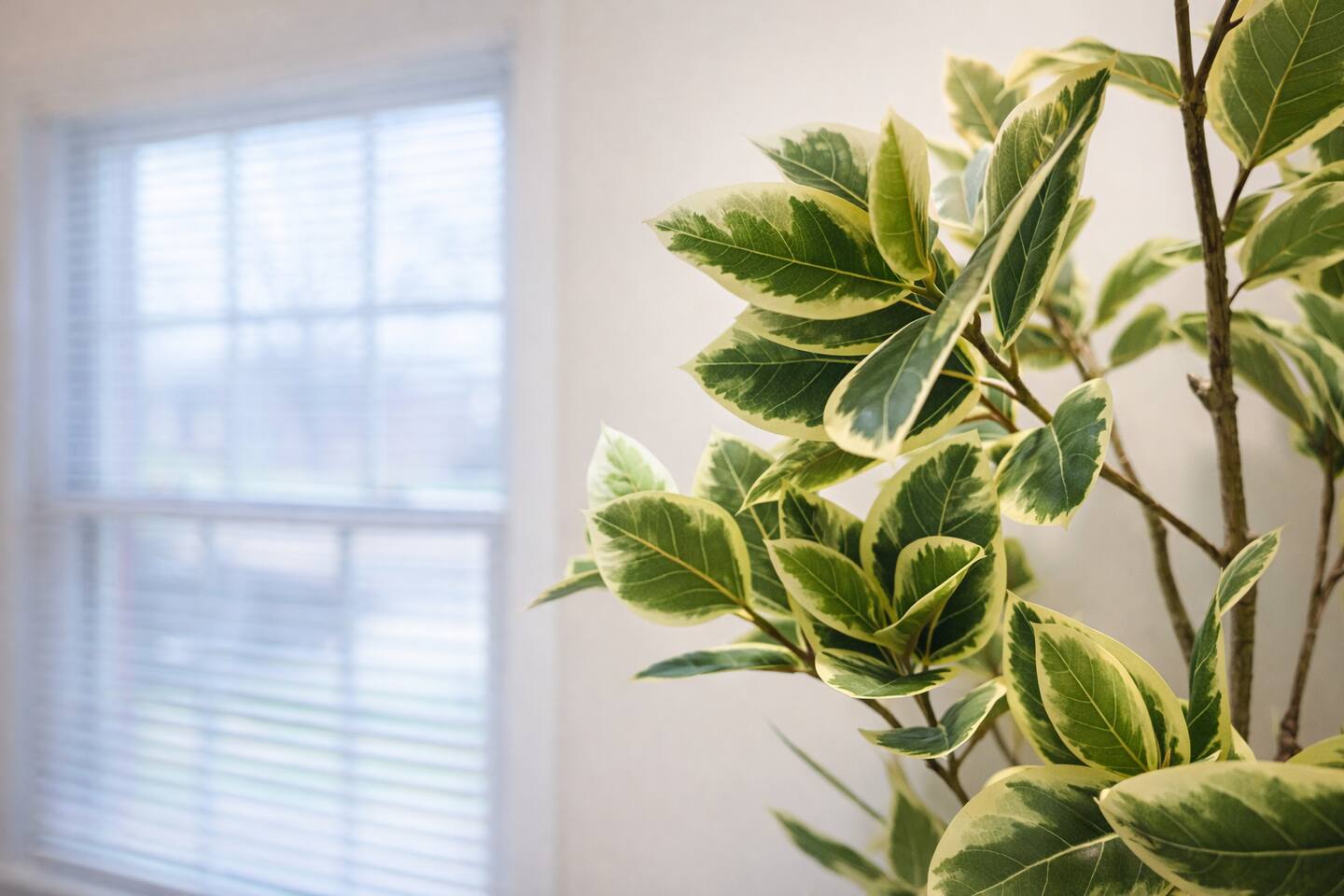 Northside Newly Renovated & Stylish 3BR/2.5BA