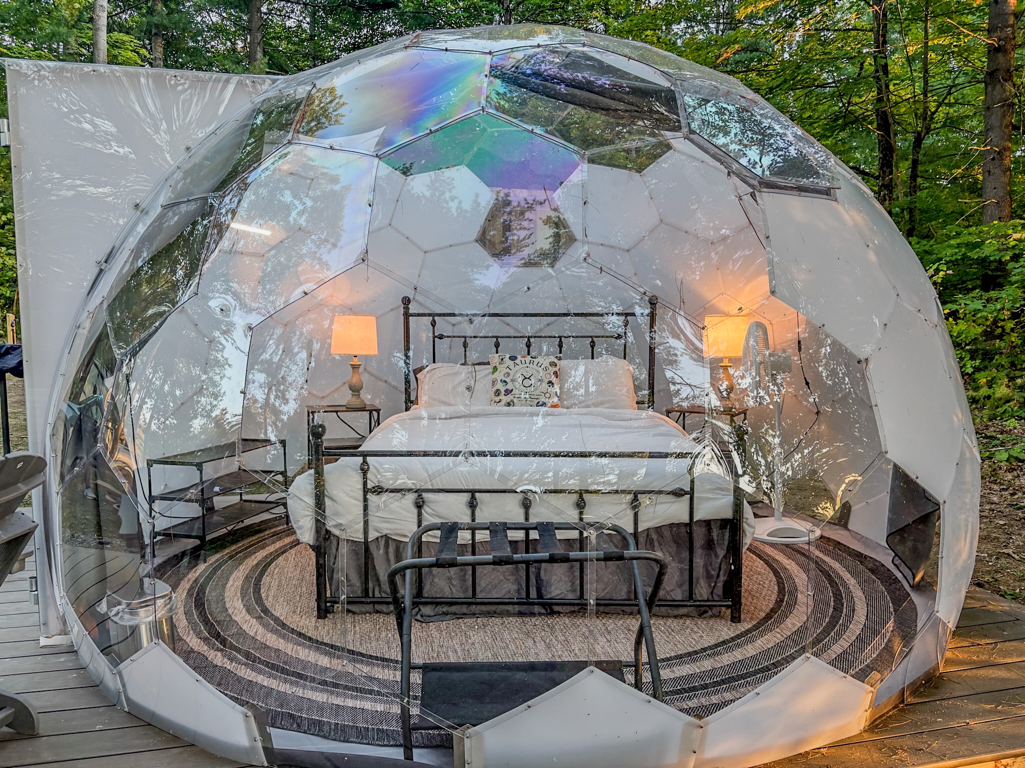 Cozy forest dome retreat with a stylish bed and immersive nature views