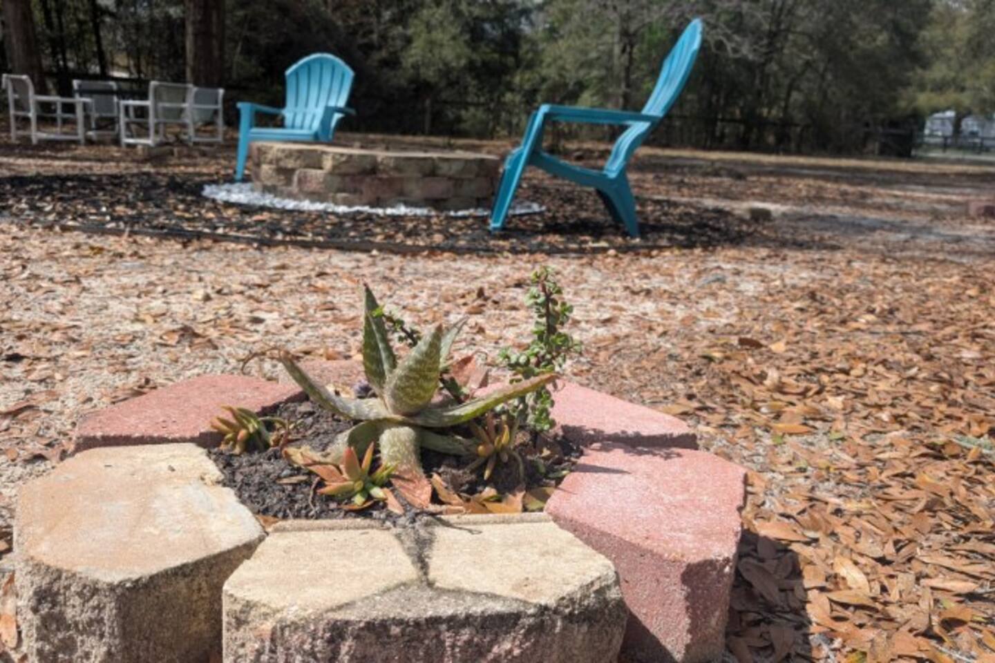 Peaceful Acre Retreat Near Ocala Springs