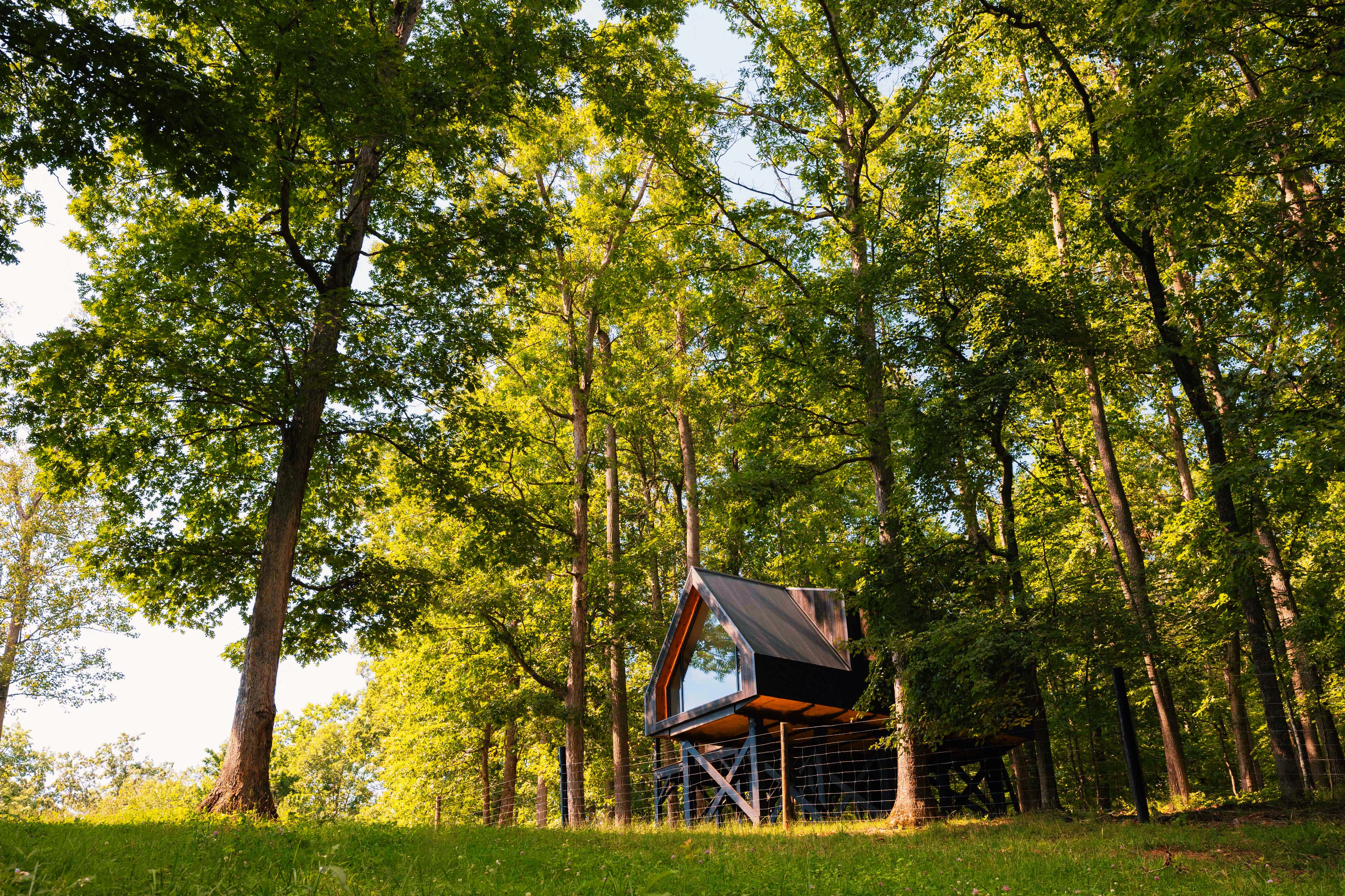 Bison Farm - Cabin "Cielo"