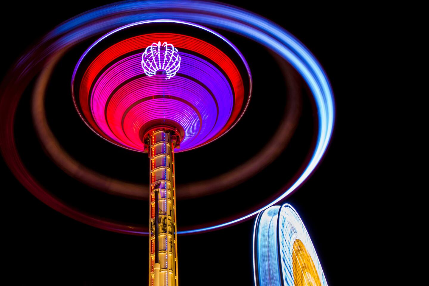 Calm, Spacious Home in the Heart of Capitol Hill