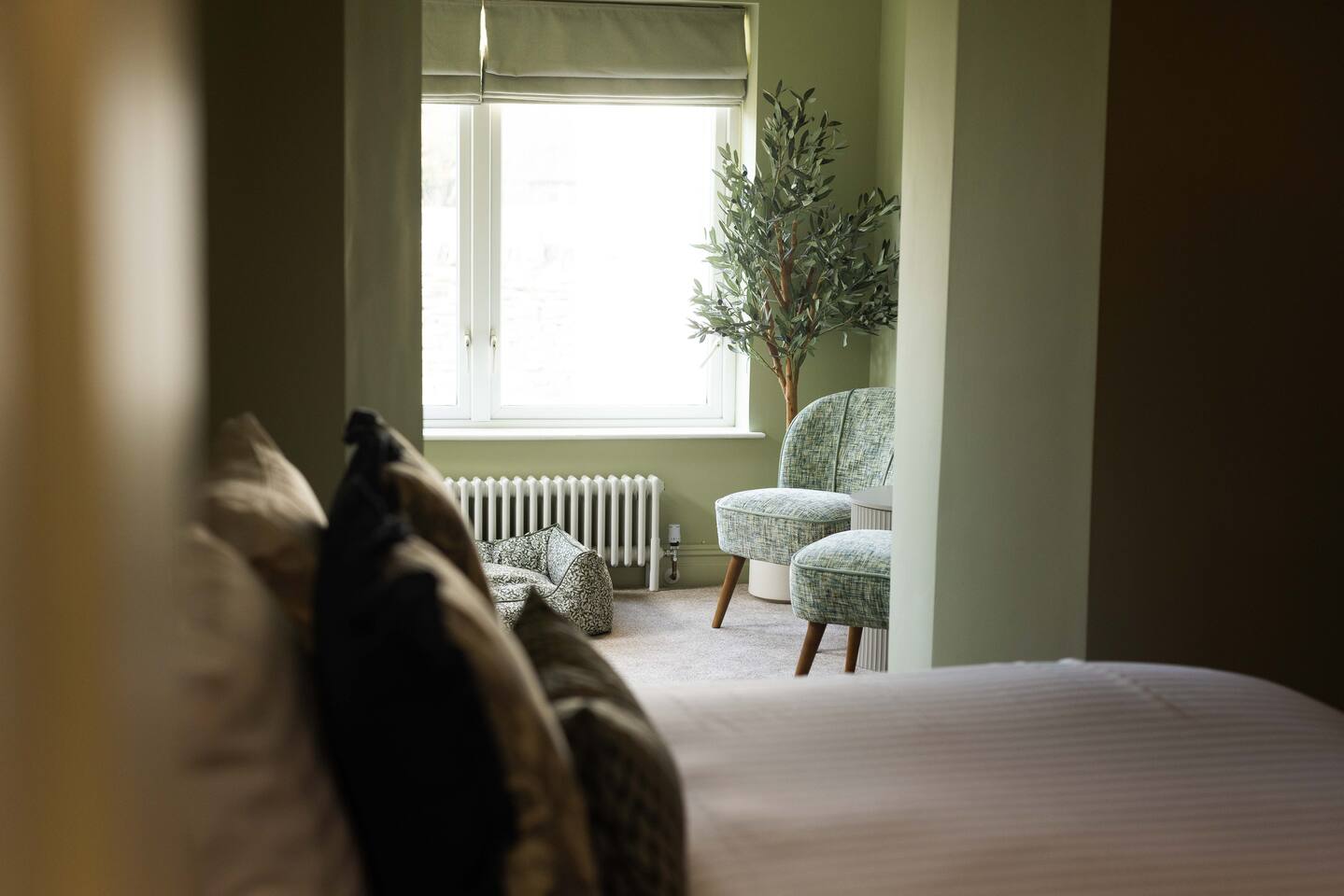 Luxury Dog-Friendly Suite | Olive House