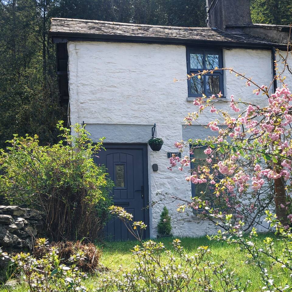 Squirrel Cottage - Cosy getaway