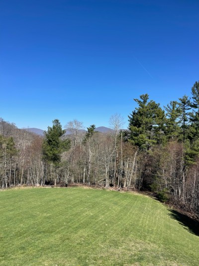 Private lawn with forest edge and sweeping mountain views