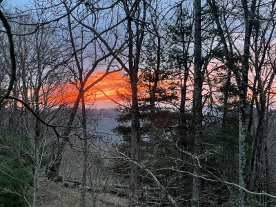 Mountain-forest sunset views from your secluded woodland stay