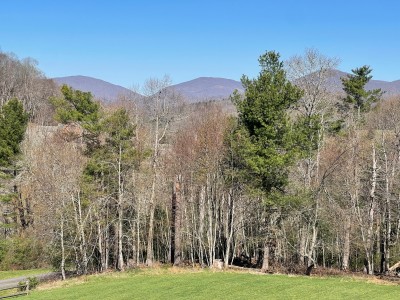 Peaceful mountain vista over woodlands from a spacious lawn retreat